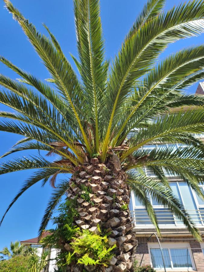Luminoso Apartamento Playa Ris Con Garaje 诺哈 外观 照片